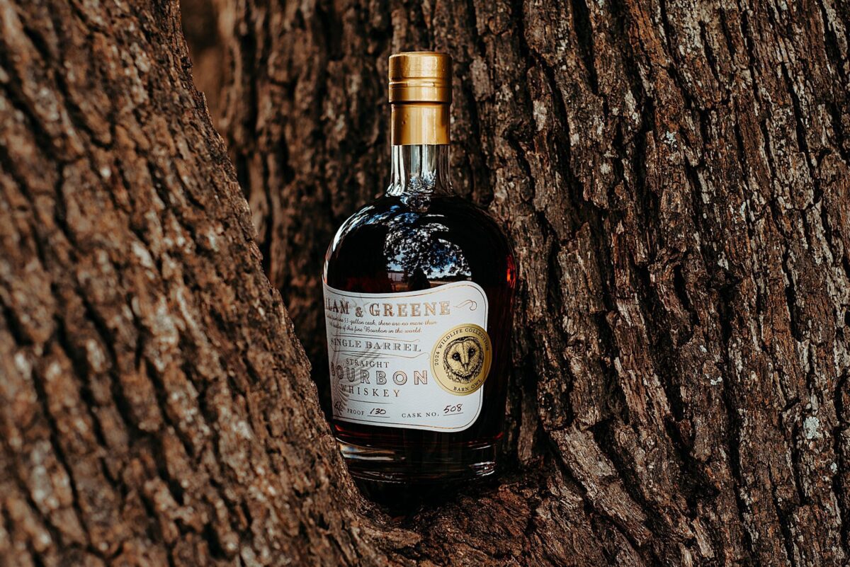 Bottle in a tree